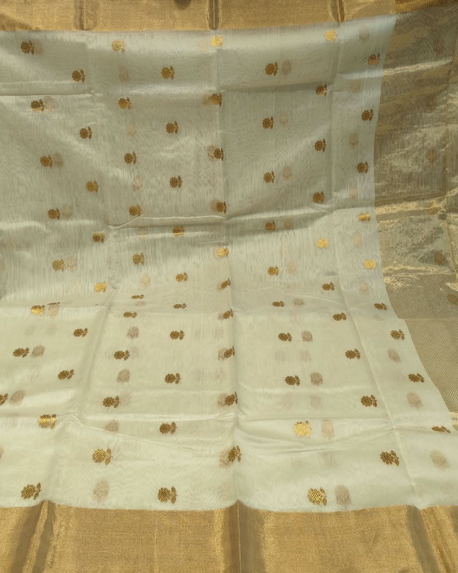Chanderi Silk Cotton Saree | Ivory White and Gold