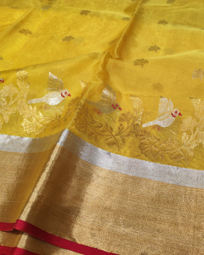 Chanderi Silk Saree | Yellow