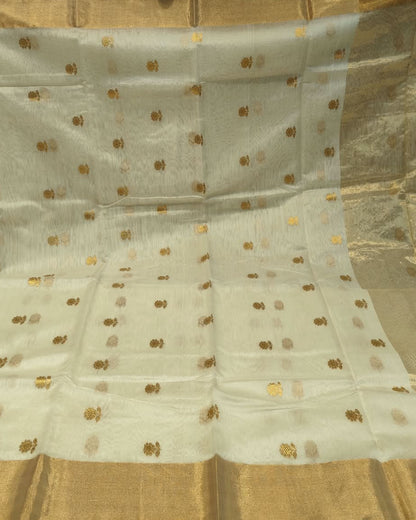 Chanderi Silk Cotton Saree | Ivory White and Gold